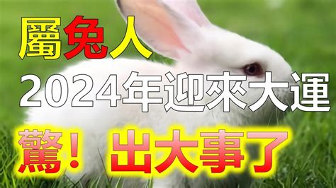 生肖兔2024年運勢大全